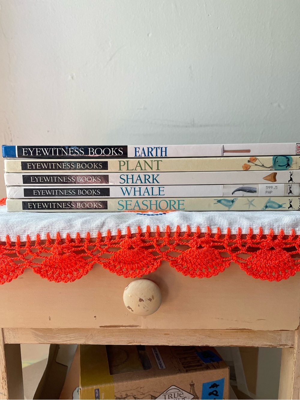 Vintage 90s Eyewitness Books Lot of 5